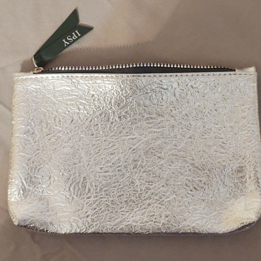 Silver makeup bag